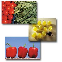 2) AGROINDUDTRIAL PRODUCTOS PRIMARIOS ALIMENTOS - OFERTA -